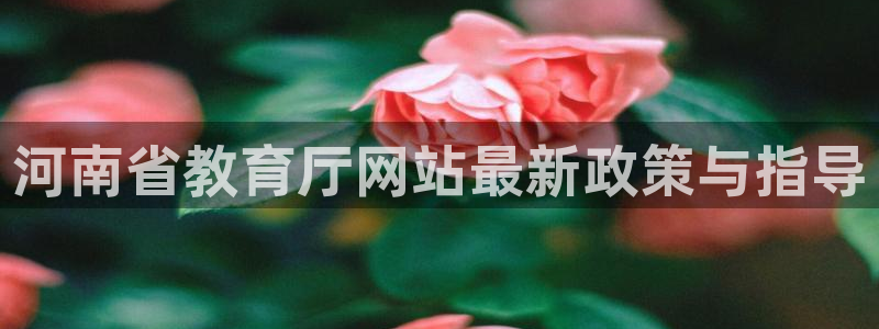 新航娱乐登录网站：河南省教育厅网站最新政策与指导