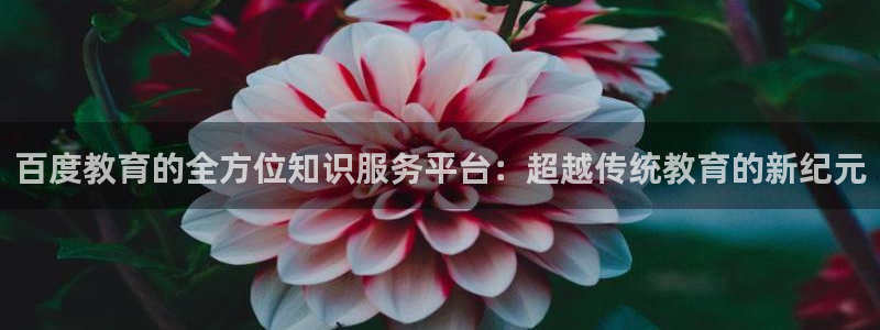 新航娱乐入新航娱乐怎么样：百度教育的全方位知识服务平台：超越