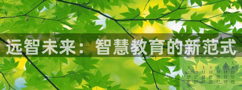 新航机上娱乐