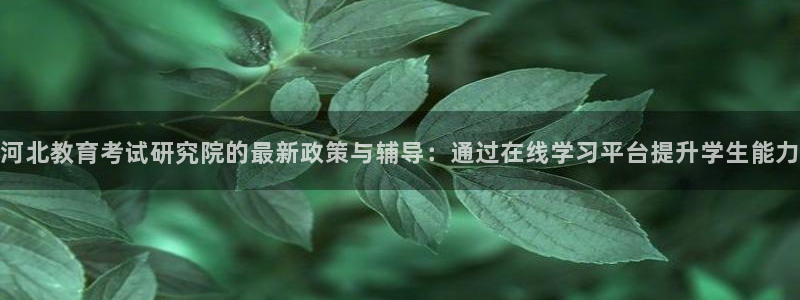 新航娱乐公司招聘：河北教育考试研究院的最新政策与辅导：通过在