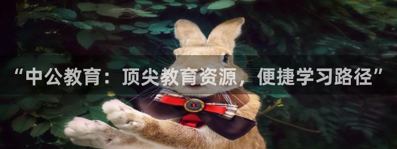 新航娱乐棋牌