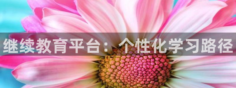 新航娱乐客服电话：继续教育平台：个性化学习路径