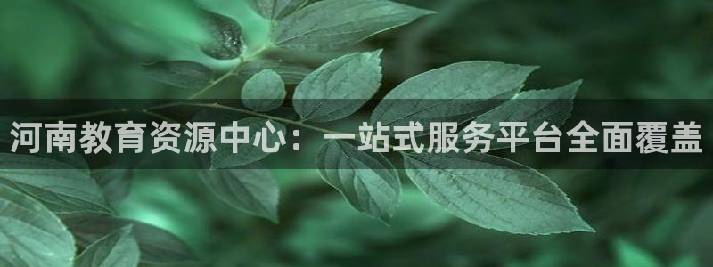 新航娱乐公司：河南教育资源中心：一站式服务平台全面覆盖