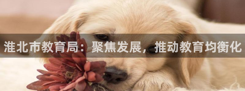 新航海娱乐会所地址电话：淮北市教育局：聚焦发展，推动教育均衡