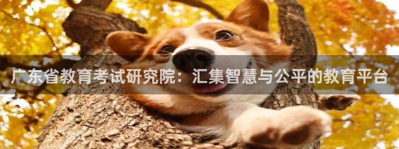 新航娱乐官网注册入口：广东省教育考试研究院：汇集智慧与公平的