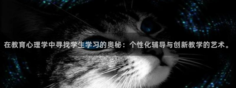 新航娱乐公司怎么样啊：在教育心理学中寻找学生学习的奥秘：个性