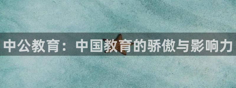 新航娱乐旗下平台有哪些：中公教育：中国教育的骄傲与影响力