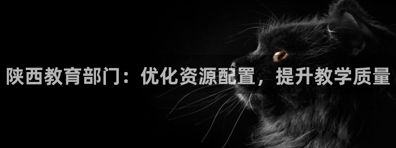 岛城娱乐新航向：陕西教育部门：优化资源配置，提升教学质量