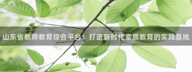 新航娱乐系统设置：山东省教师教育综合平台：打造新时代素质教育