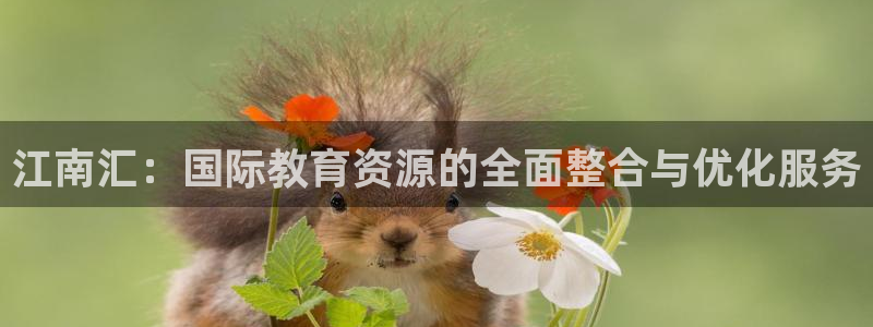 新航娱乐公司招聘信息网：江南汇：国际教育资源的全面整合与优化