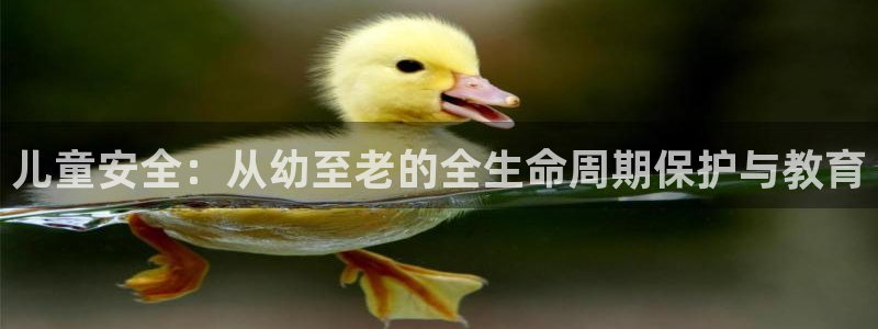 新航娱乐官方网站入口：儿童安全：从幼至老的全生命周期保护与教