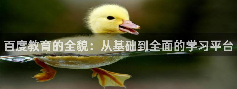 新航娱乐注册：百度教育的全貌：从基础到全面的学习平台