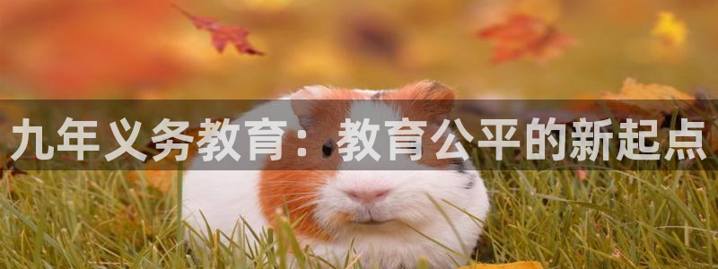 新航娱乐传媒怎么样啊：九年义务教育：教育公平的新起点