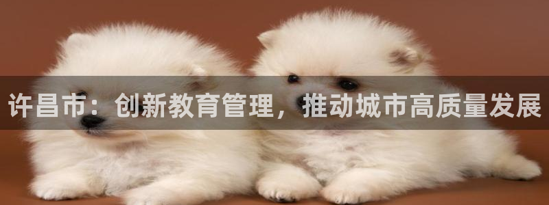 新航娱乐平台登录入口：许昌市：创新教育管理，推动城市高质量发