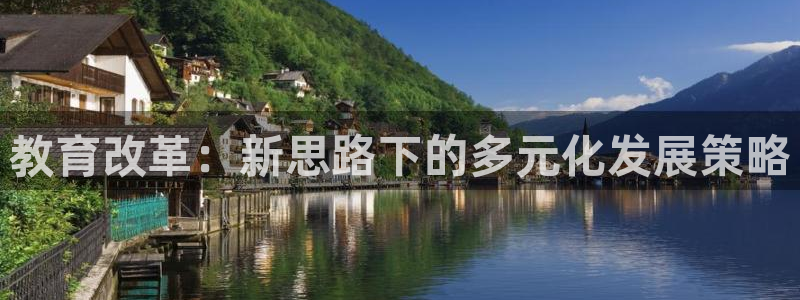 新航娱乐公司问题解决：教育改革：新思路下的多元化发展策略