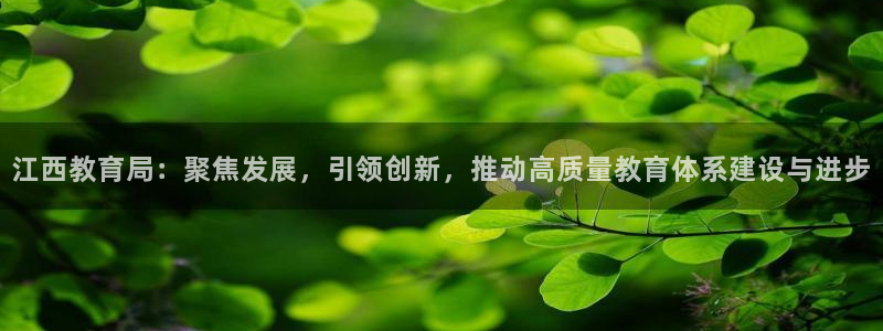 新航娱乐公司问题分析：江西教育局：聚焦发展，引领创新，推动高