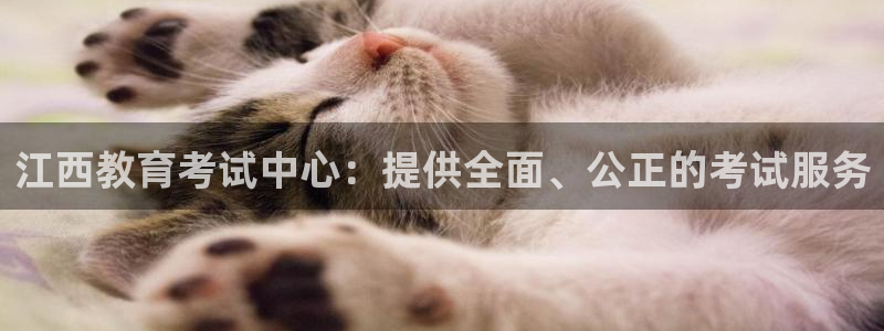 新航娱乐主管是谁：江西教育考试中心：提供全面、公正的考试服务