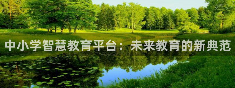 新航娱乐公司简介图片：中小学智慧教育平台：未来教育的新典范