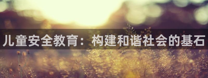 新航娱乐的创始人背景：儿童安全教育：构建和谐社会的基石