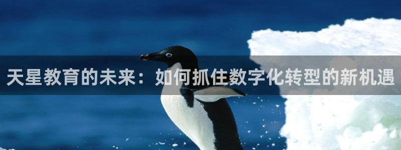 娱乐搞笑新航线：天星教育的未来：如何抓住数字化转型的新机遇