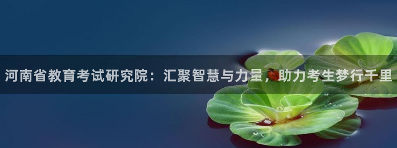 开启娱乐新航线：河南省教育考试研究院：汇聚智慧与力量，助力考