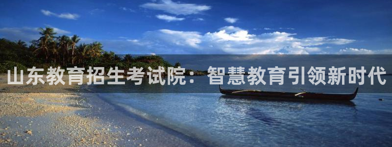 新航娱乐公司招聘信息：山东教育招生考试院：智慧教育引领新时代