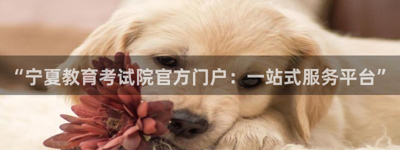 新航娱乐有限公司招聘：“宁夏教育考试院官方门户：一站式服务平