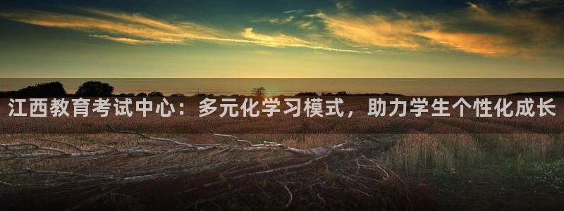 新航娱乐扣款：江西教育考试中心：多元化学习模式，助力学生个性