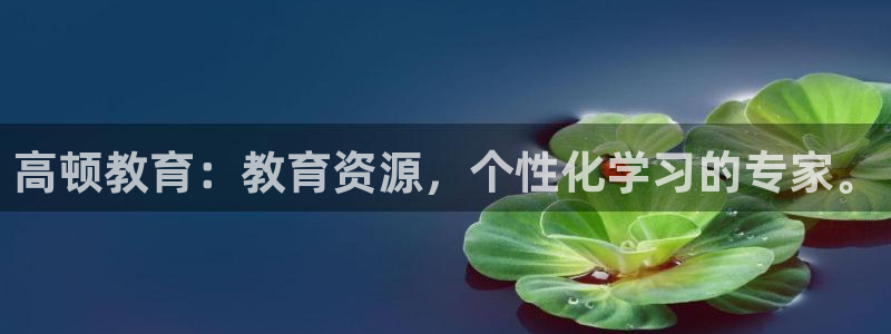 中国新航娱乐官网入口：高顿教育：教育资源，个性化学习的专家。