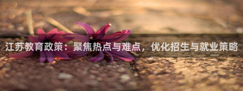 新航娱乐公司怎么样啊：江苏教育政策：聚焦热点与难点，优化招生