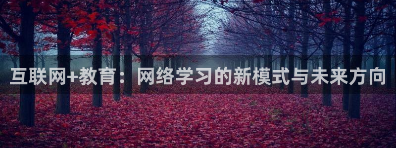 南京新航娱乐：互联网+教育：网络学习的新模式与未来方向