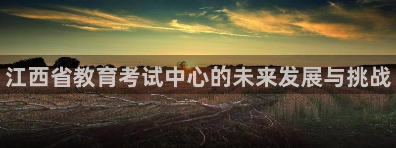新航娱乐是干嘛的：江西省教育考试中心的未来发展与挑战