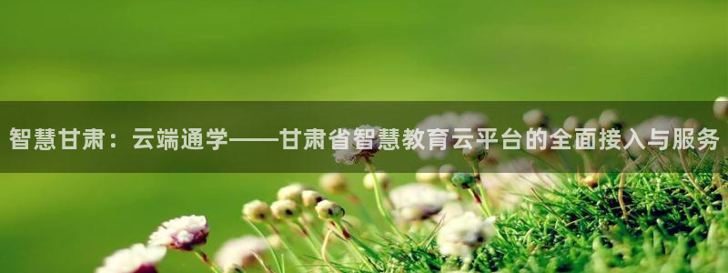 新航娱乐平台登录蒋渭水：智慧甘肃：云端通学——甘肃省智慧教育