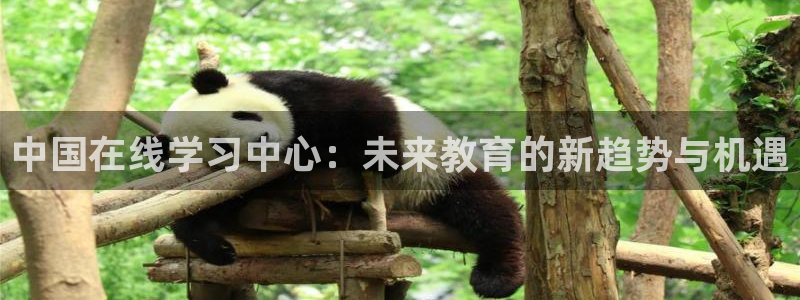 新航娱乐入新航娱乐怎么样：中国在线学习中心：未来教育的新趋势