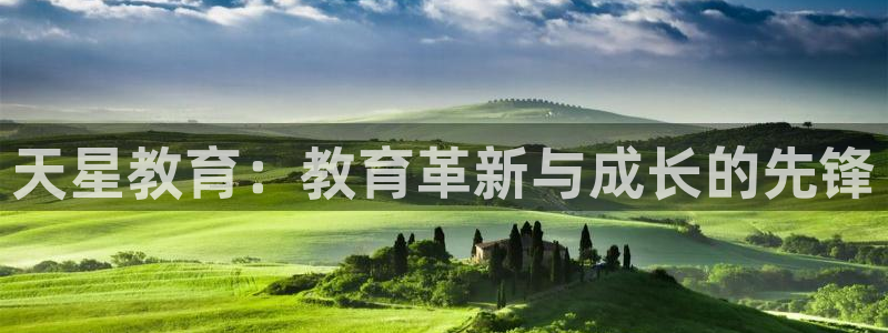 南京新航娱乐：天星教育：教育革新与成长的先锋