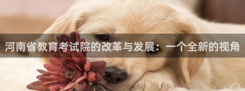 新航娱乐旗下平台有哪些