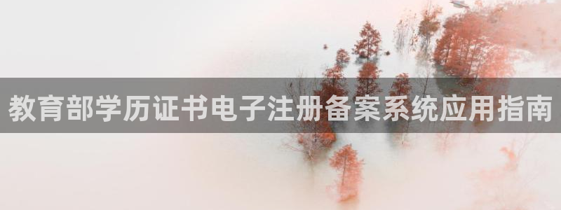中国新航娱乐平台官网：教育部学历证书电子注册备案系统应用指南