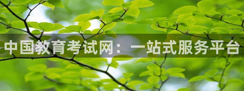 新航娱乐街7O935：中国教育考试网：一站式服务平台